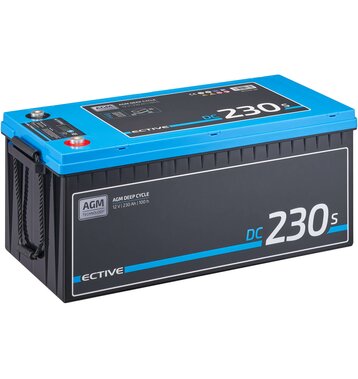 ECTIVE DC 230S AGM Deep Cycle mit LCD-Anzeige 230Ah...