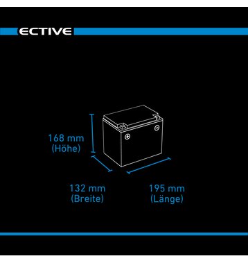 ECTIVE DC 38SC GEL Deep Cycle mit PWM-Ladegerät und LCD-Anzeige 38Ah Versorgungsbatterie